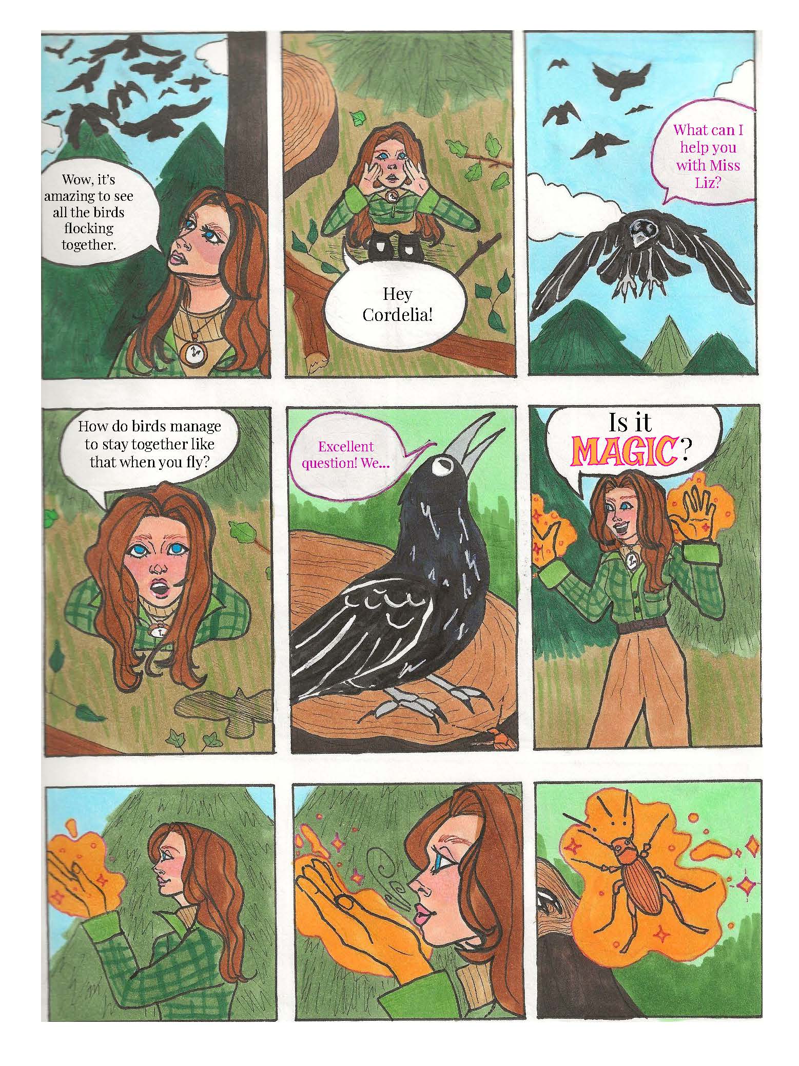 Flocking birds and active matter page 1