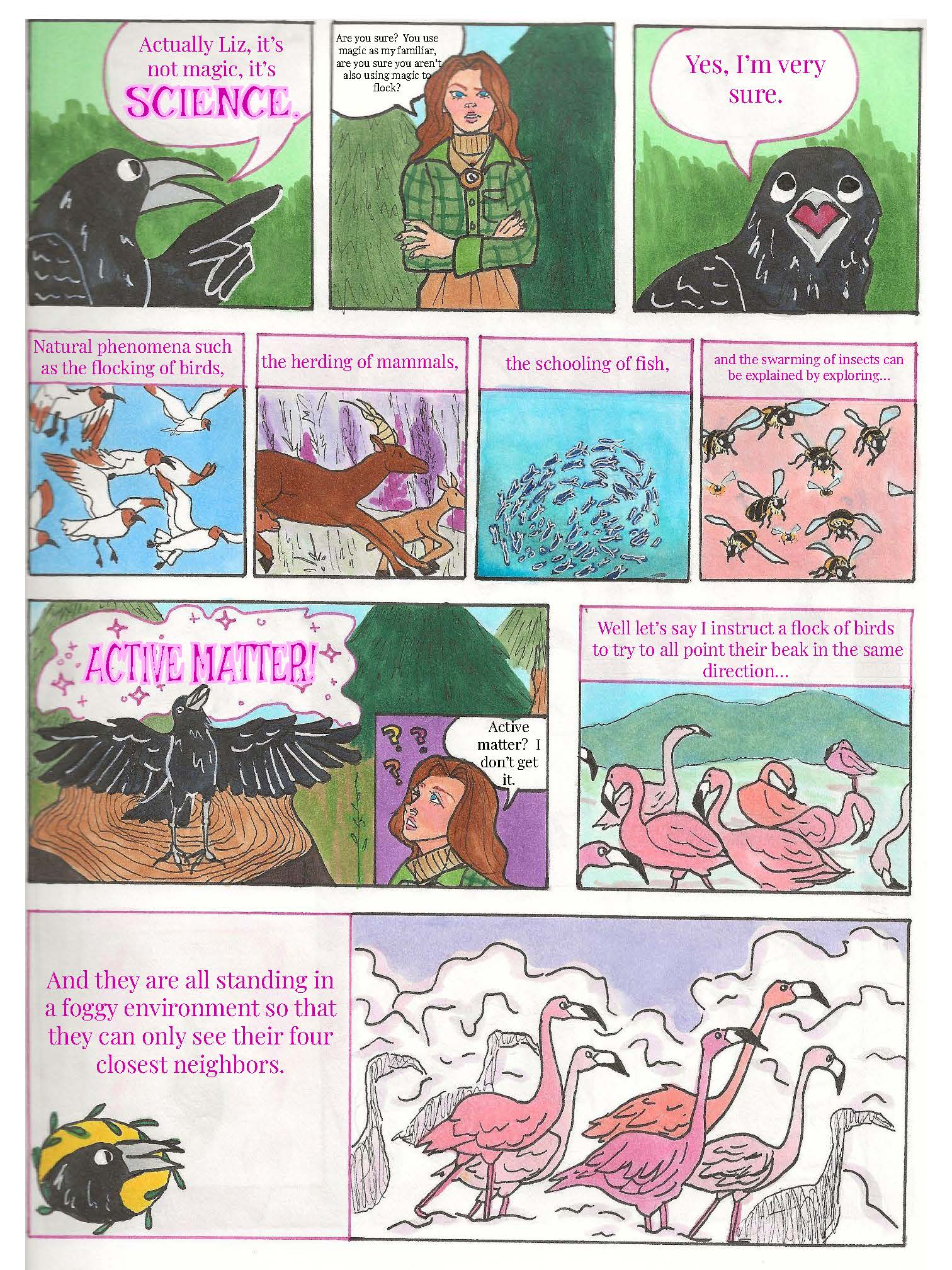 Flocking birds and active matter page 2