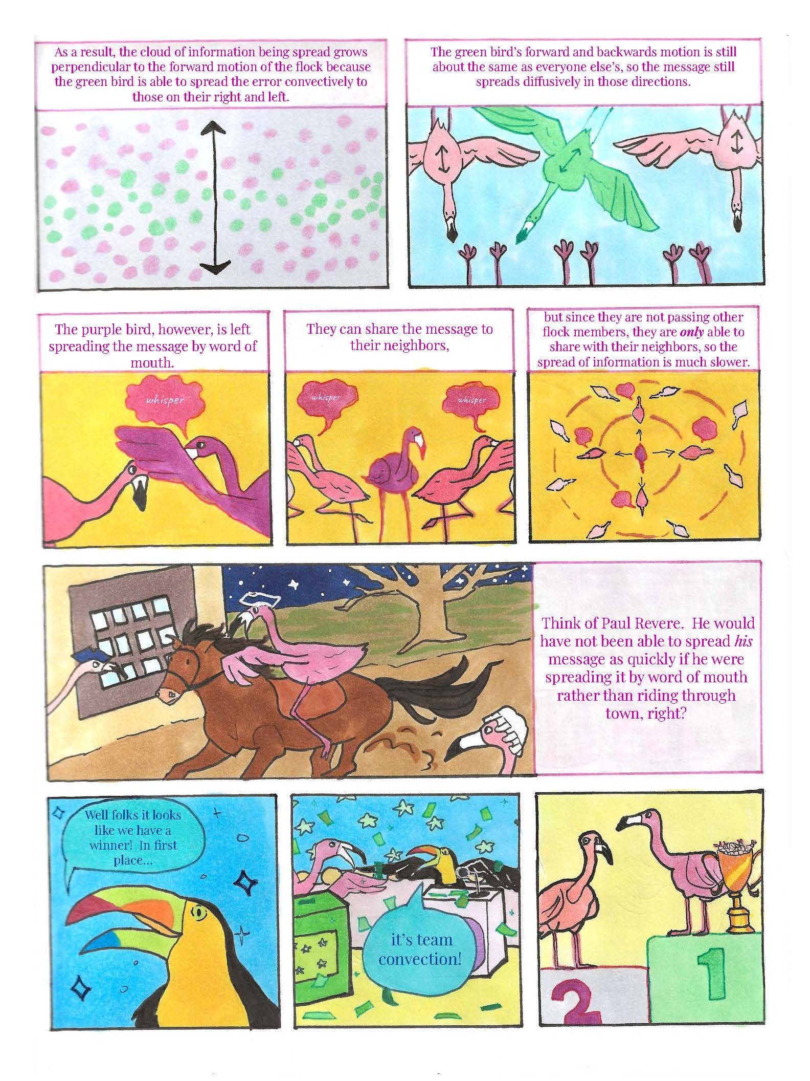 Flocking birds and active matter page 8