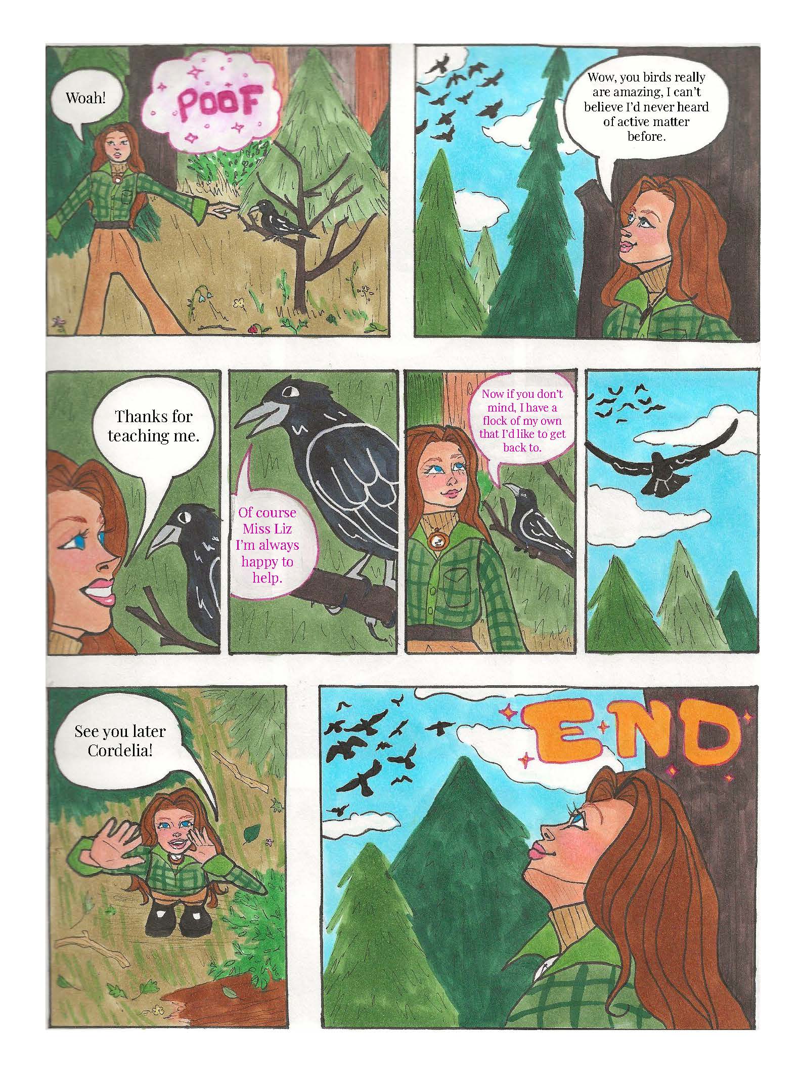 Flocking birds and active matter page 9
