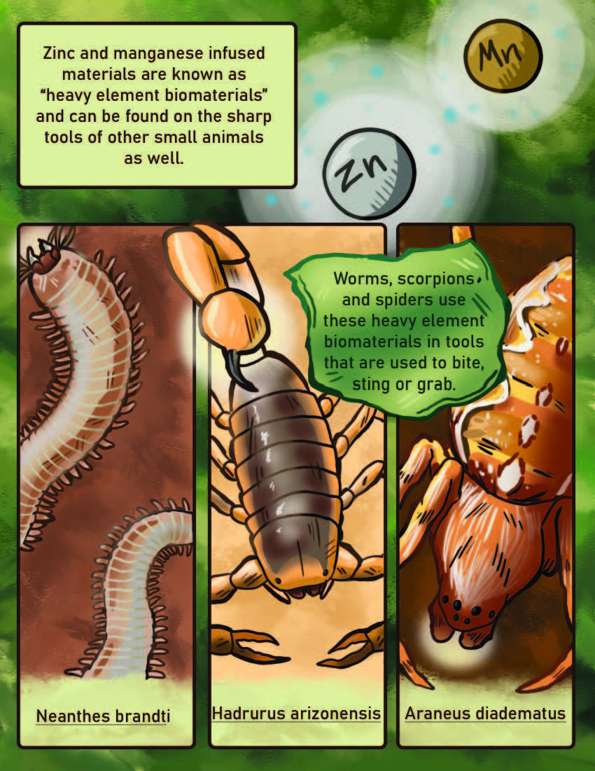 Leaf Cutter Ants Page 2