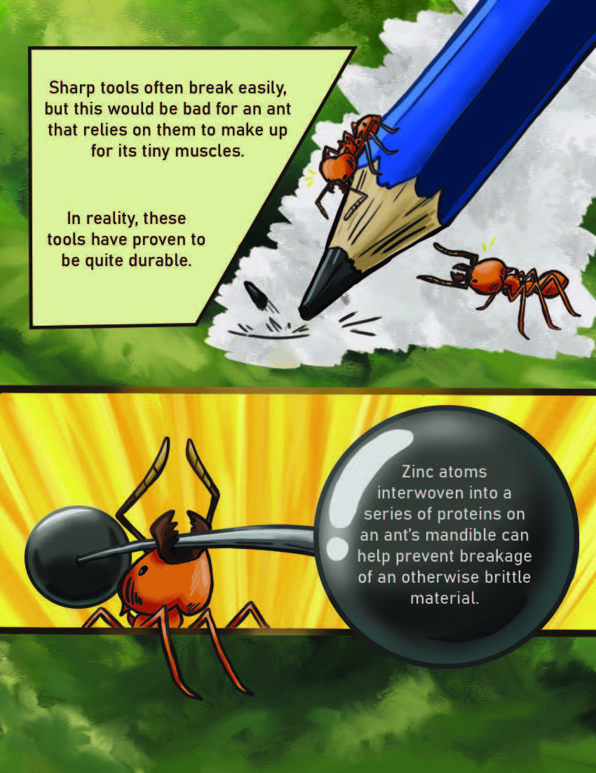 Leaf Cutter Ants Page 4