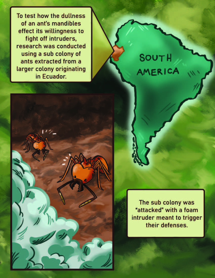 Leaf Cutter Ants Page 8