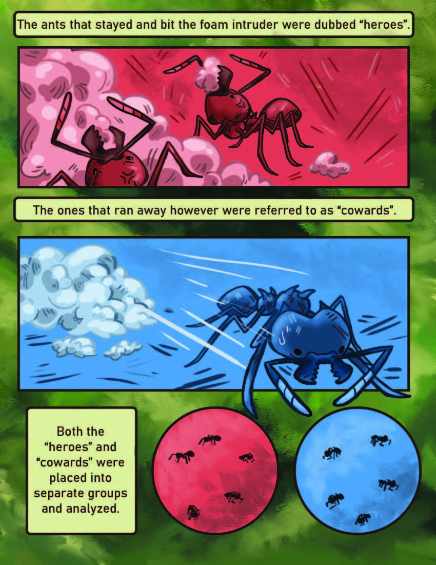 Leaf Cutter Ants Page 9
