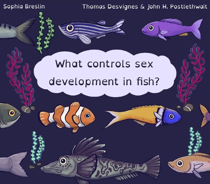 Cover of "what controls sex development in fish?"