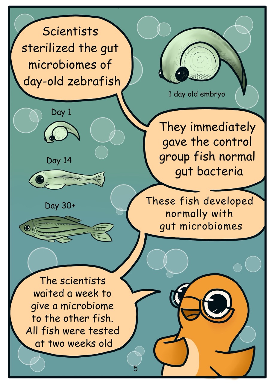 Microbiomes 5