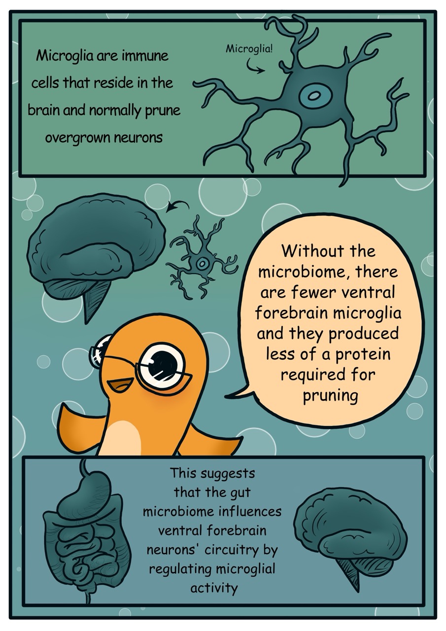 Microbiomes 8