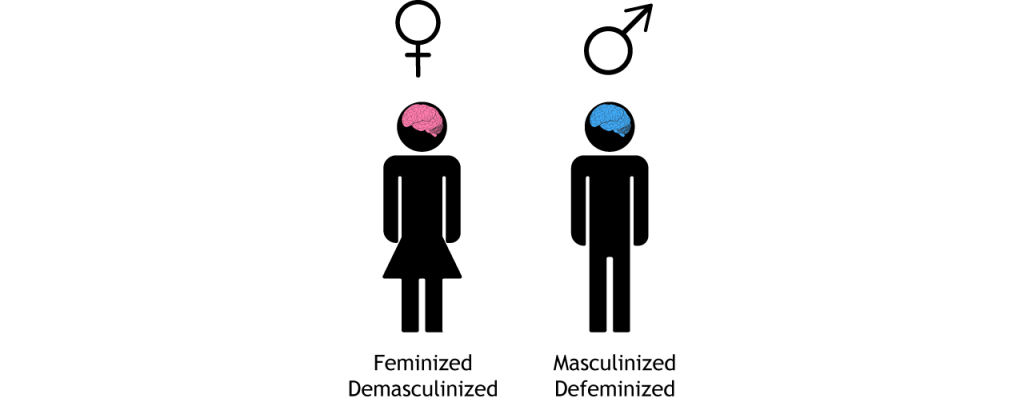 Female and male icons with pink and blue brains, respectively.