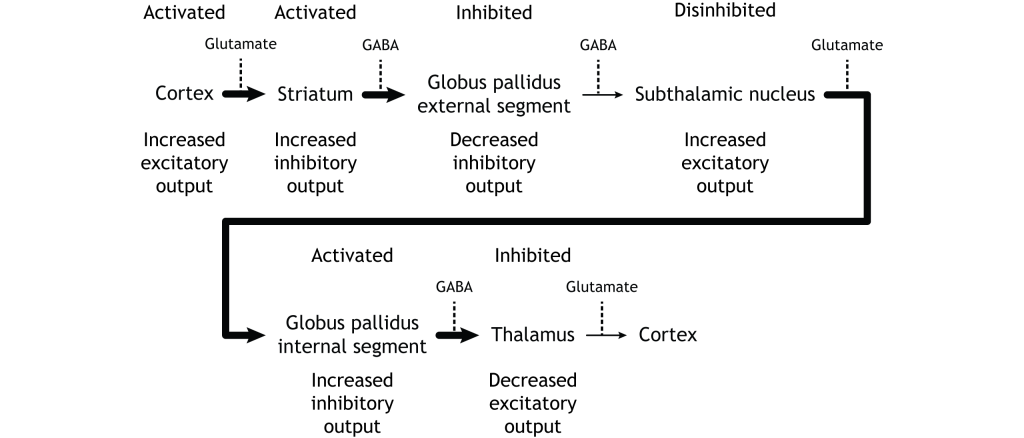 Illustration of synaptic changes in the indirect pathway as a result of activation. Details in caption.