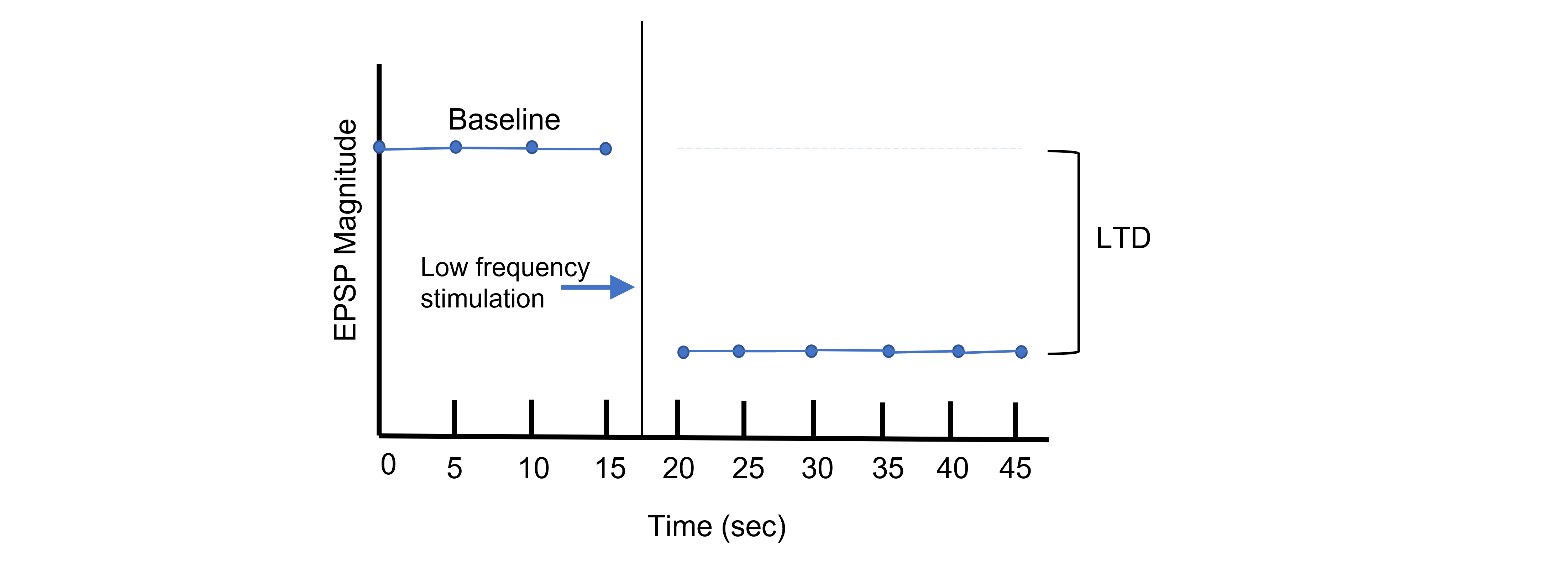 Graph of EPSP magnitude over time showing LTD. Details in caption and text.