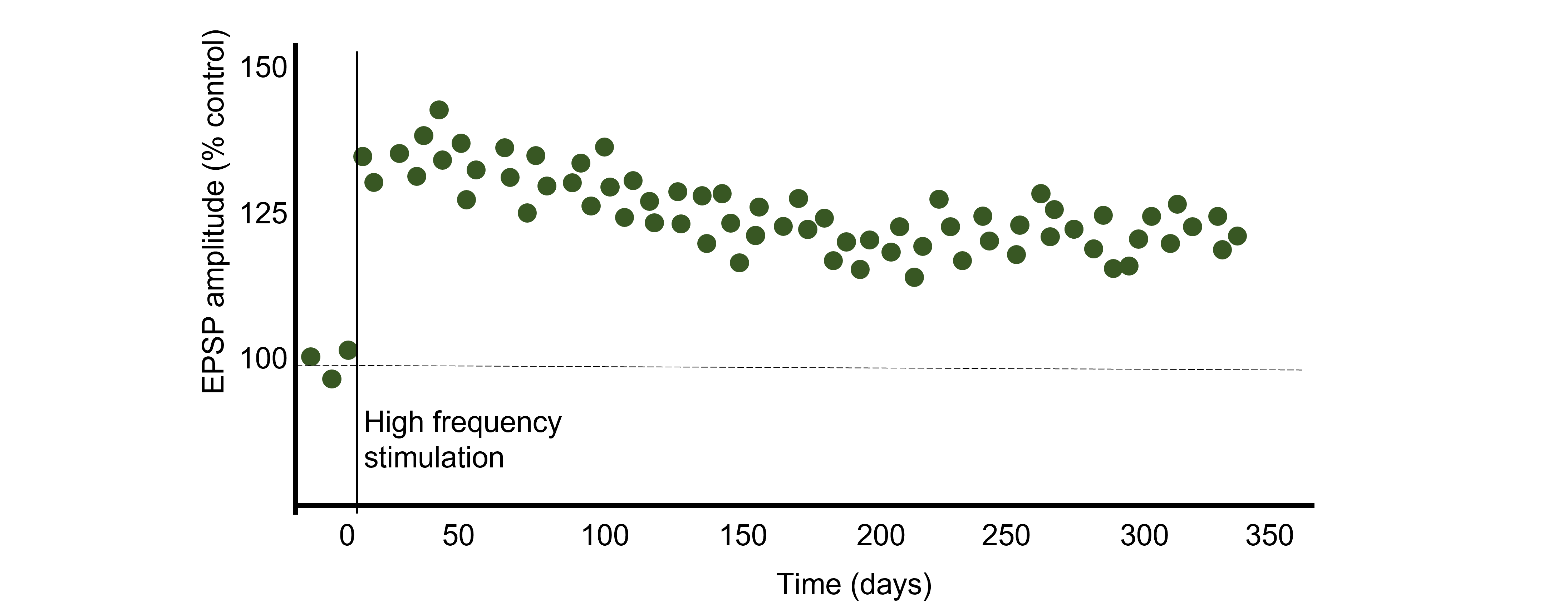 Graph of postsynaptic EPSP before and after high frequency stimulation, graphed as a percent of control. Details in caption and text.