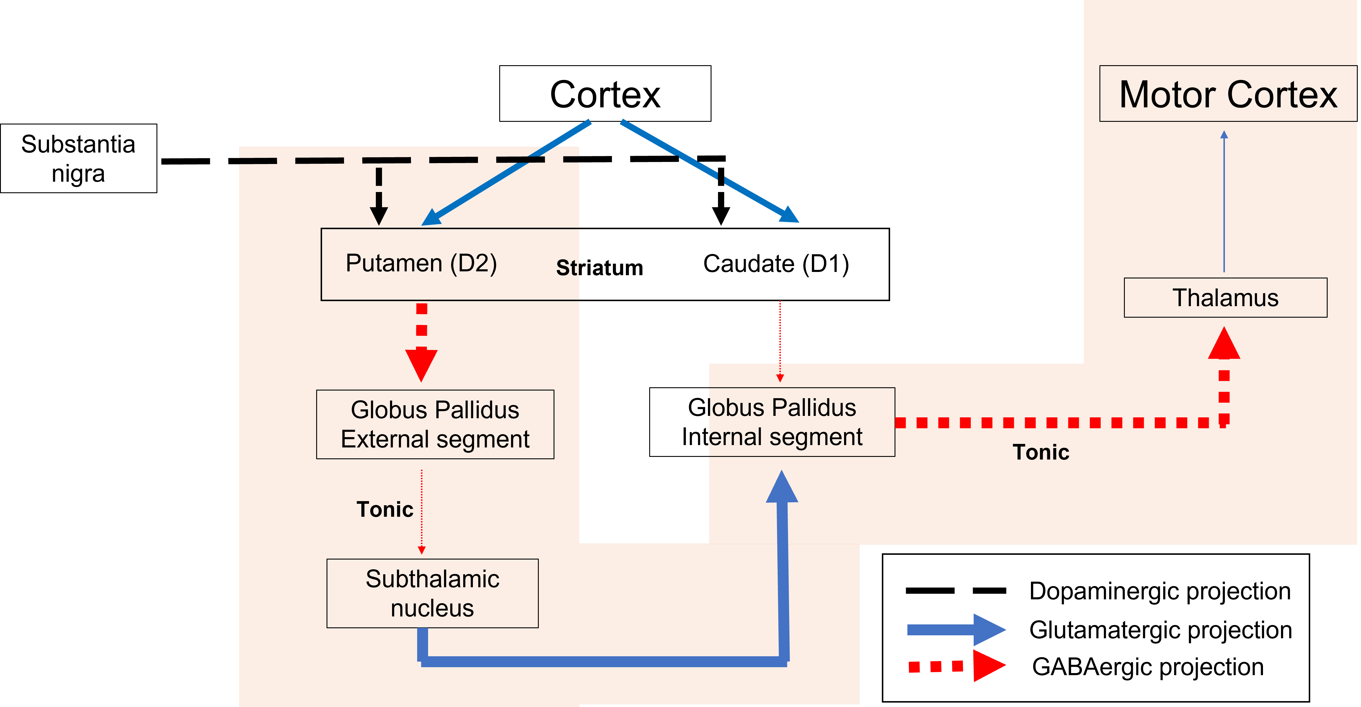 Basal ganglia circuitry model. Details in caption and text.