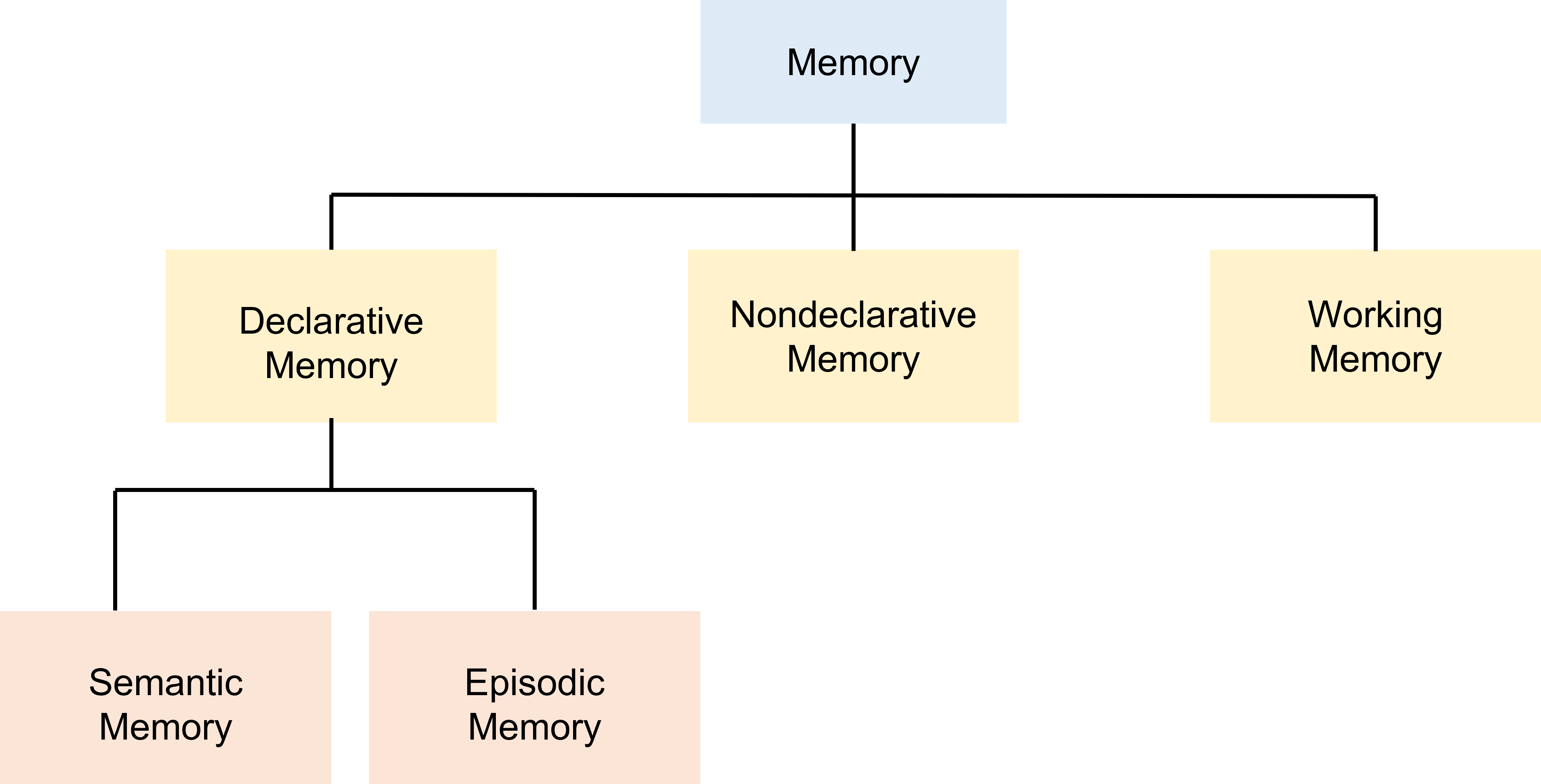 Flow chart of different types of memory.