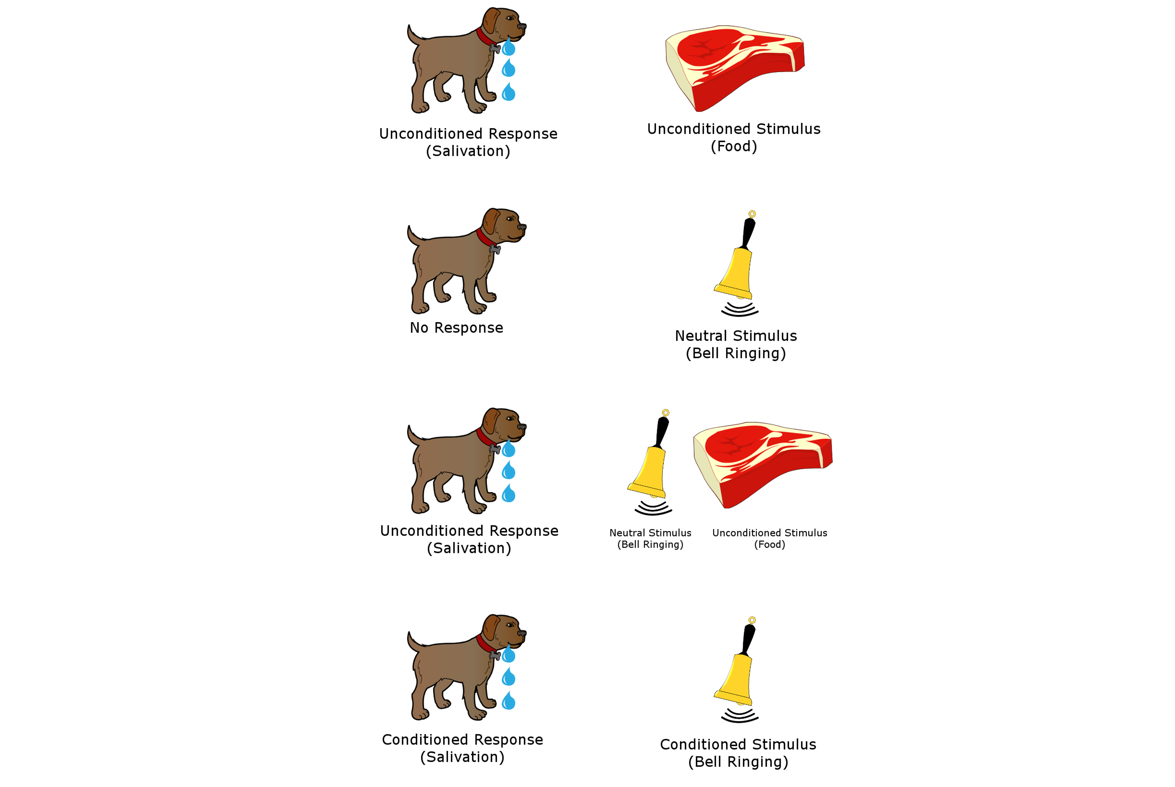 Associative learning example.