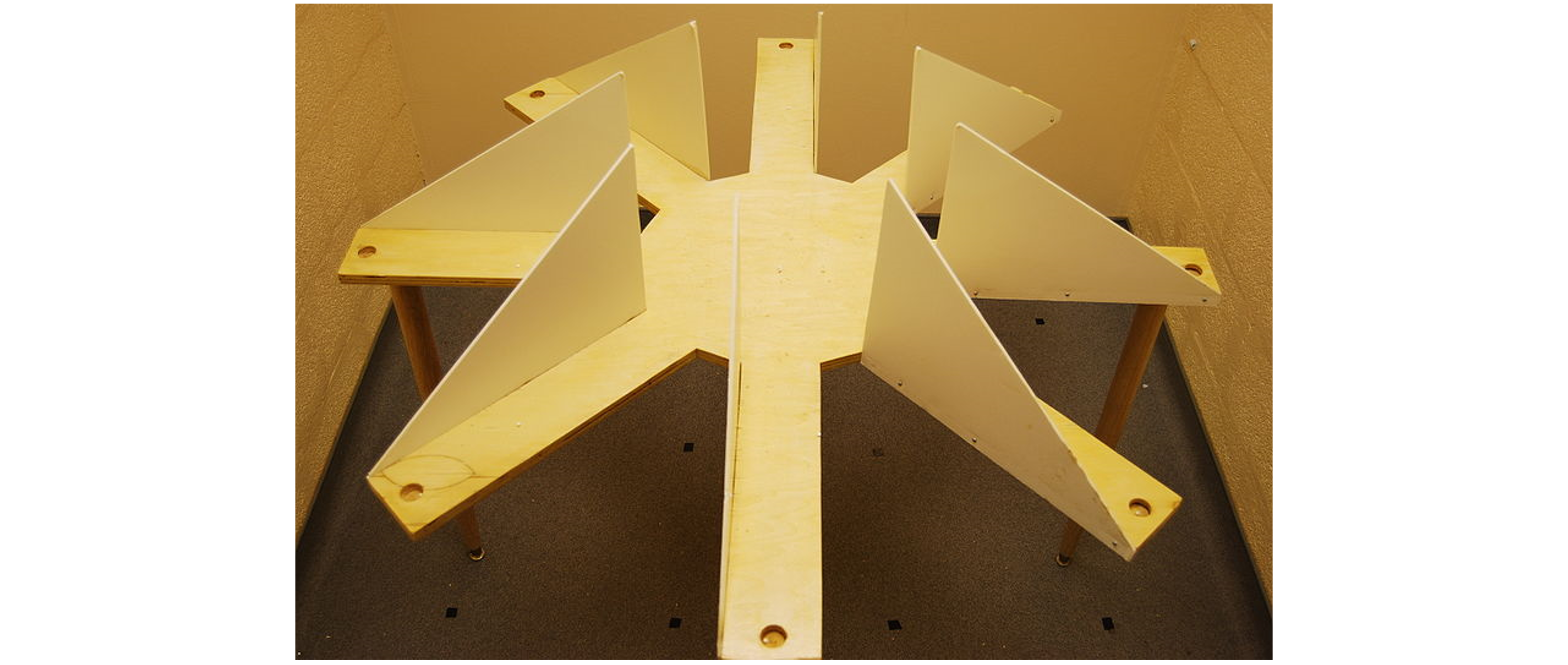 Radial arm maze