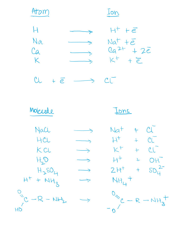 Ions form from (A) atoms or (B) molecules by the loss or gain of electrons.