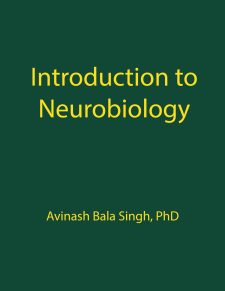 Introduction to Neurobiology book cover