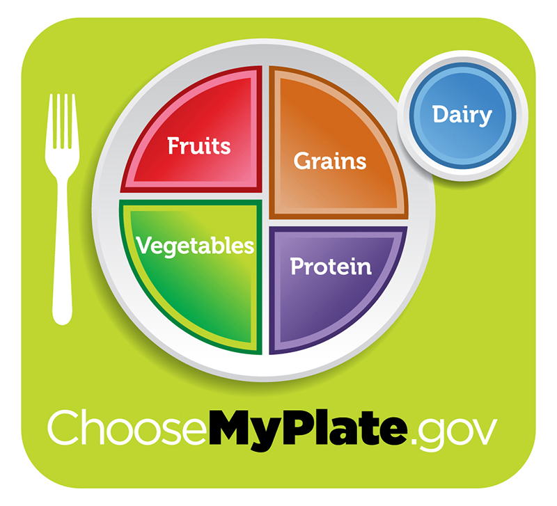 Healthy diet logo shows a plate divided into four sections, labeled fruits; vegetables; grains; and protein. The vegetables section is slightly larger than the other three. A circle to the side of the plate is labeled dairy. Beneath the plate is the web address, which reads Choose My Plate dot gov.