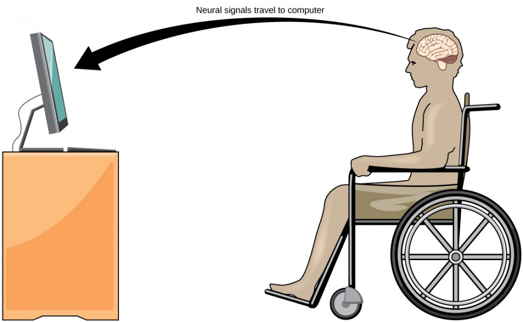 Illustration shows a person in a wheelchair, facing a computer screen. An arrow indicates that neural signals travel from the brain of the paralyzed person to the computer.