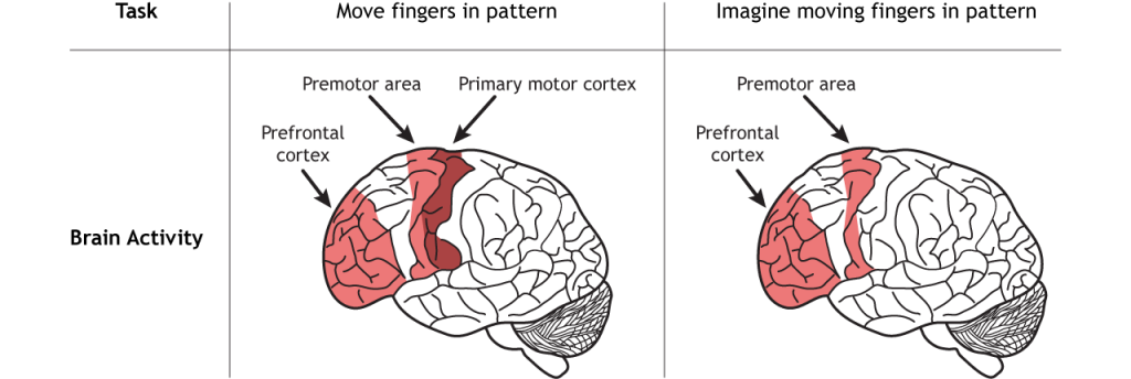 Illustration of brain activity in response to either moving fingers or imagining moving the fingers.