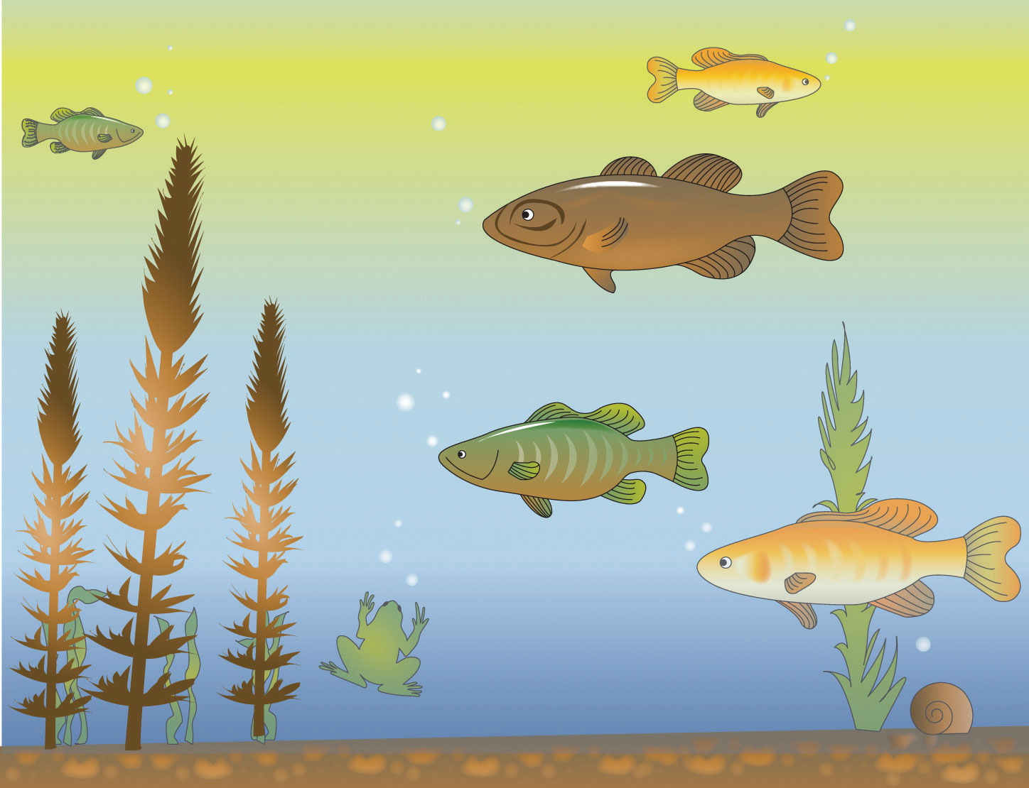 a cartoon drawing of fish swimming in colorful water with a frog and plants.